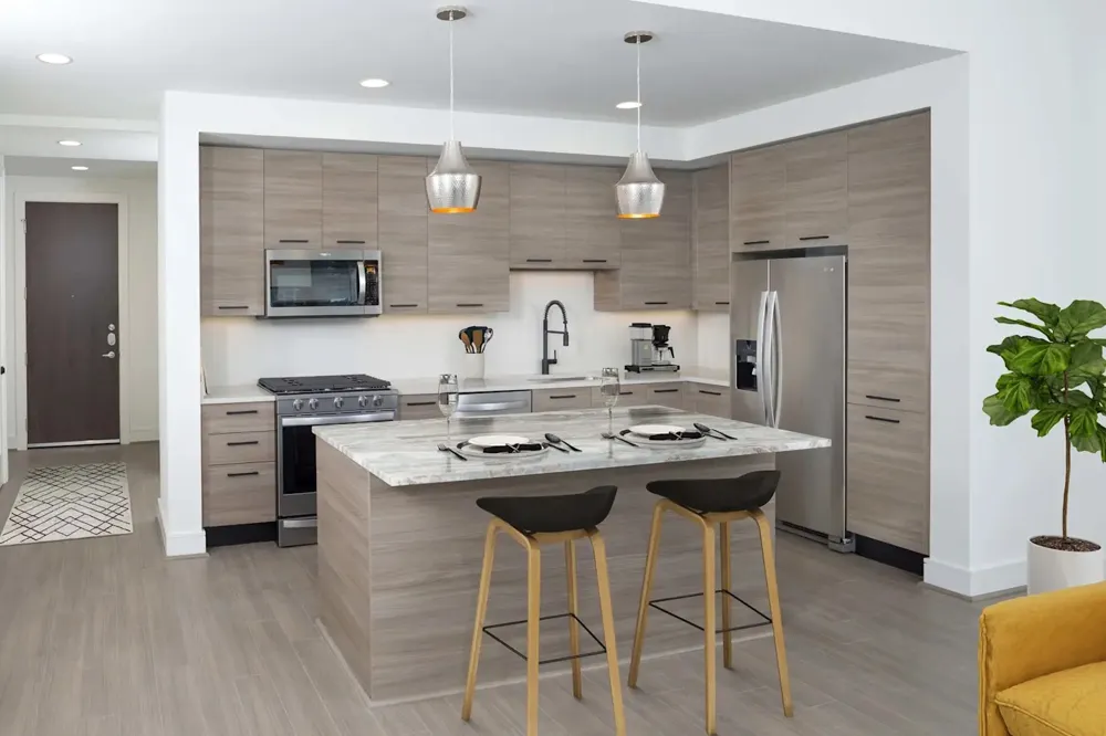 1515 Austin Street #1-1002 Houston, TX 77002