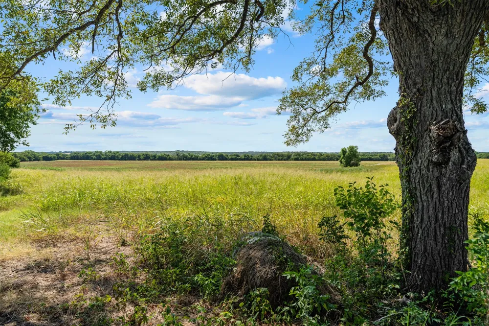 4562 hwy 77 Chilton, TX 76632