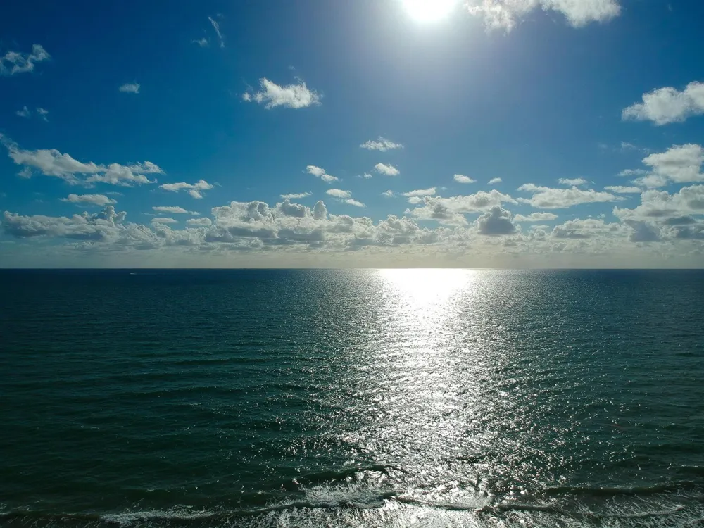 1637 Taft Street Hollywood, FL 33020