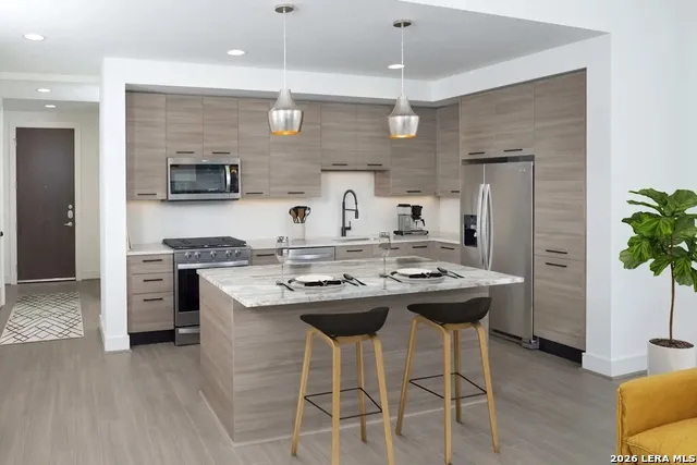 1515 AUSTIN ST Unit 1-1306 Houston, TX 77002