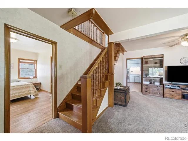 29 Walnut Street Windsor, CO 80550