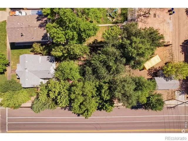 29 Walnut Street Windsor, CO 80550