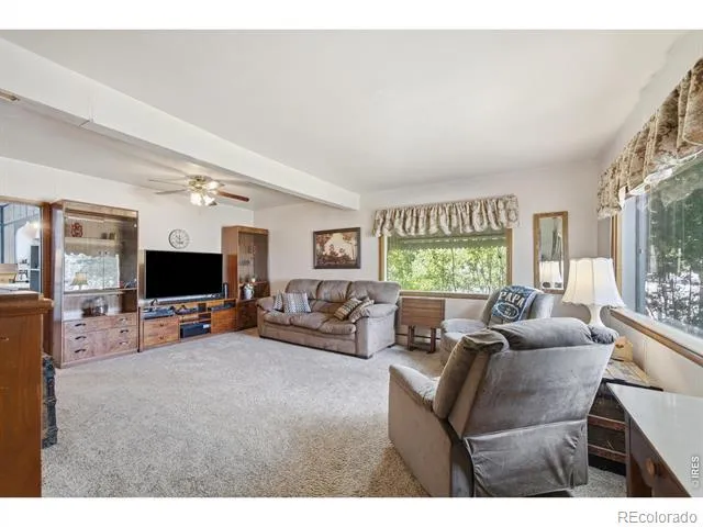 29 Walnut Street Windsor, CO 80550