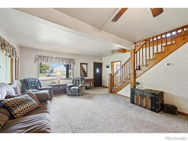 29 Walnut Street Windsor, CO 80550