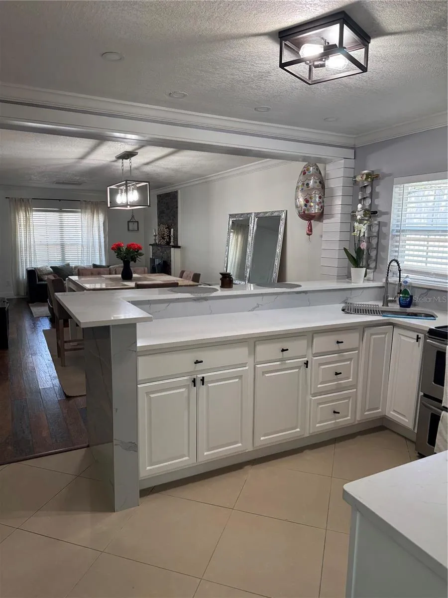 16008 SAGEBRUSH ROAD Tampa, FL 33618