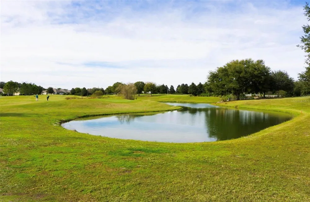 4650 SHENANDOAH RIVER TRAIL Leesburg, FL 34748