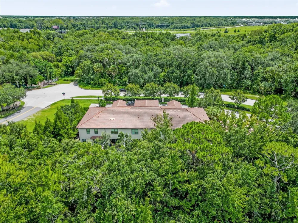 8095 BROOKSVILLE DRIVE Davenport, FL 33896