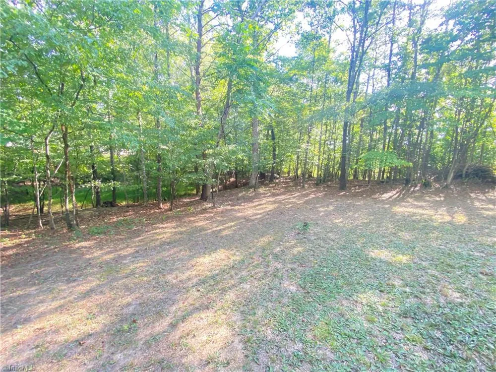 1045 Haywood Street Eden, NC 27288