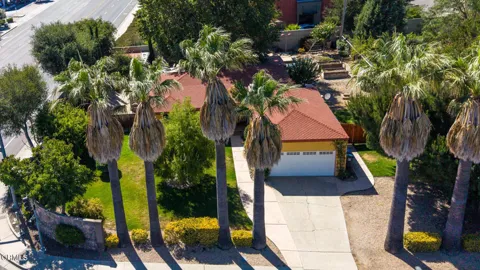 311 Freear Drive