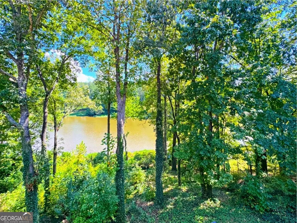 21 Rocky CIR NE White, GA 30184
