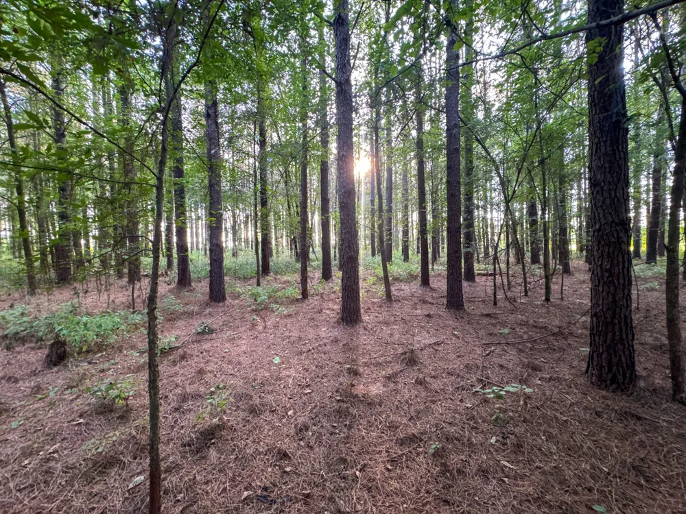 0 Leath Rd Counce, TN 38326