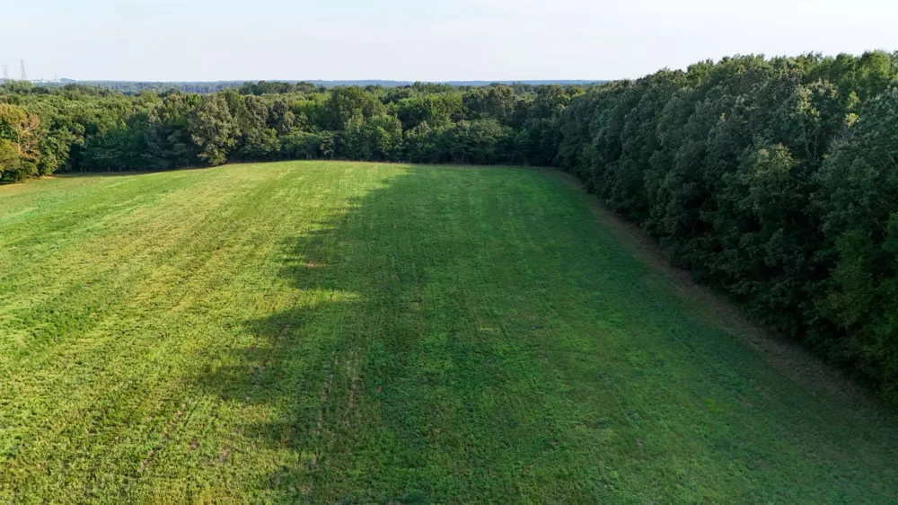 0 Leath Rd Counce, TN 38326