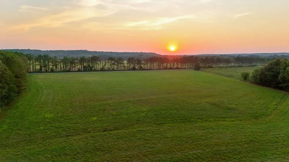 0 Leath Rd Counce, TN 38326