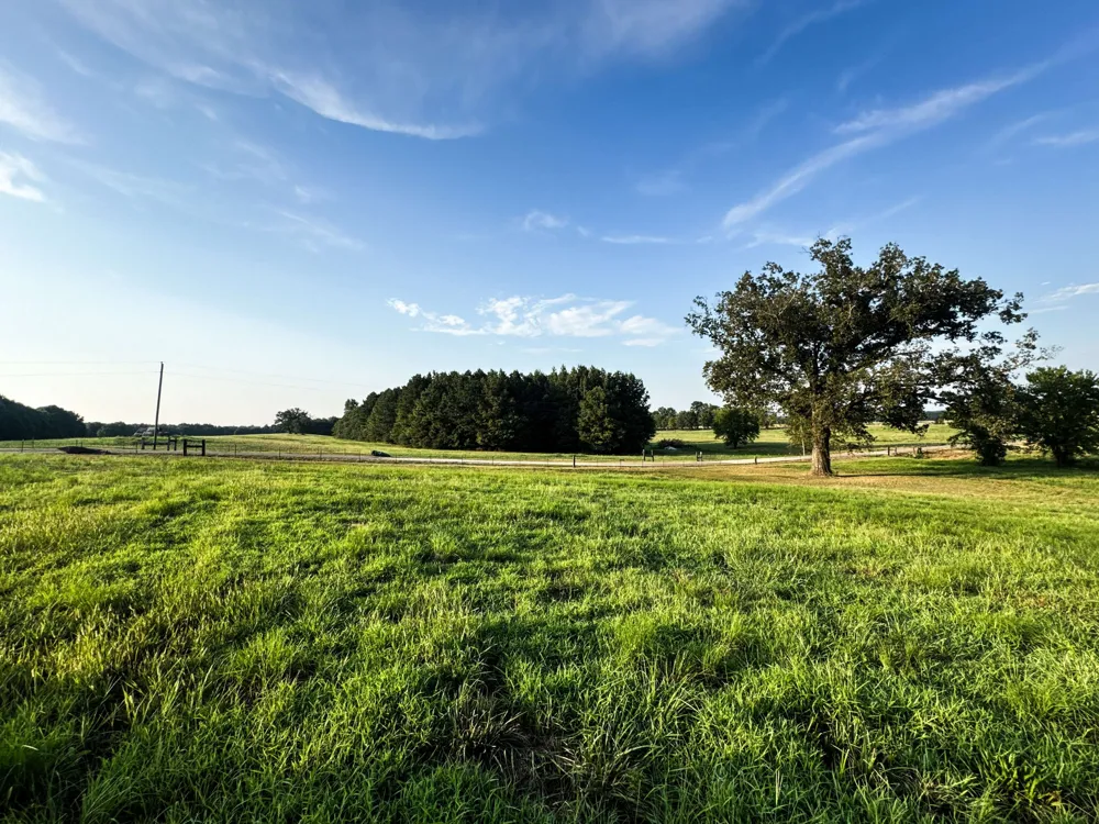 0 Leath Rd Counce, TN 38326