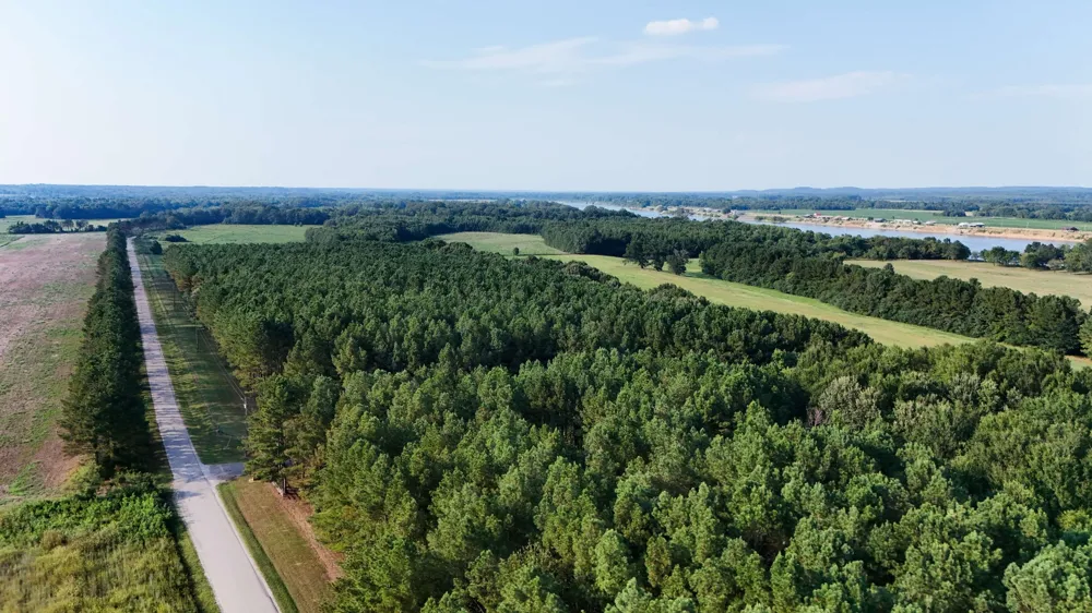 0 Leath Rd Counce, TN 38326