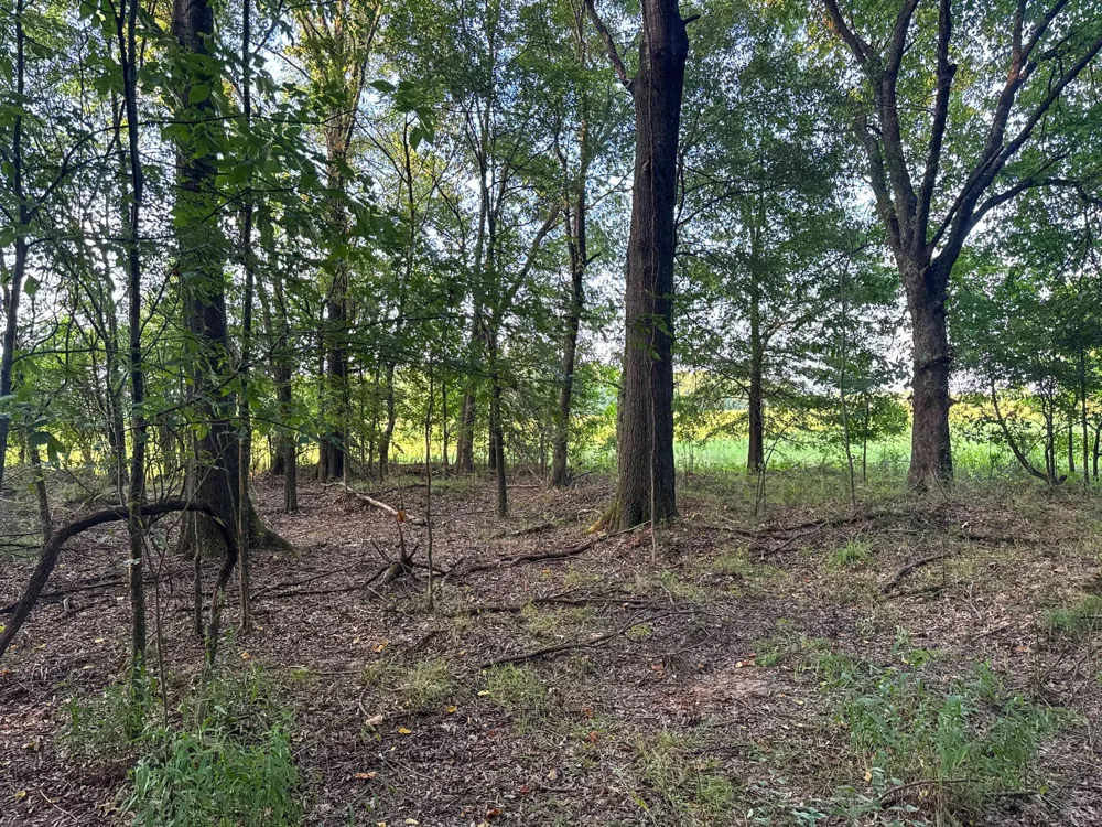 0 Leath Rd Counce, TN 38326