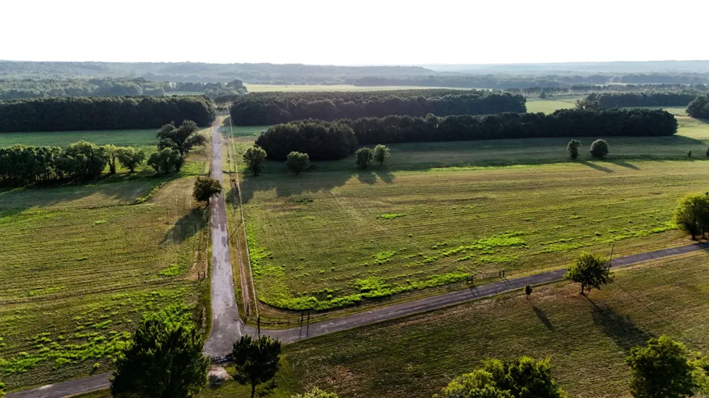 0 Leath Rd Counce, TN 38326