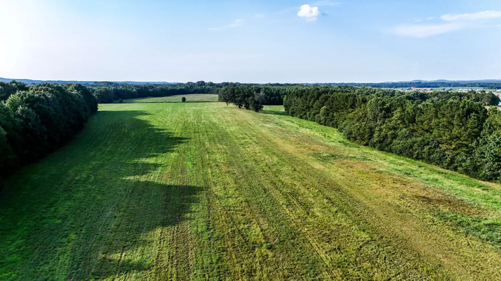 0 Leath Rd Counce, TN 38326