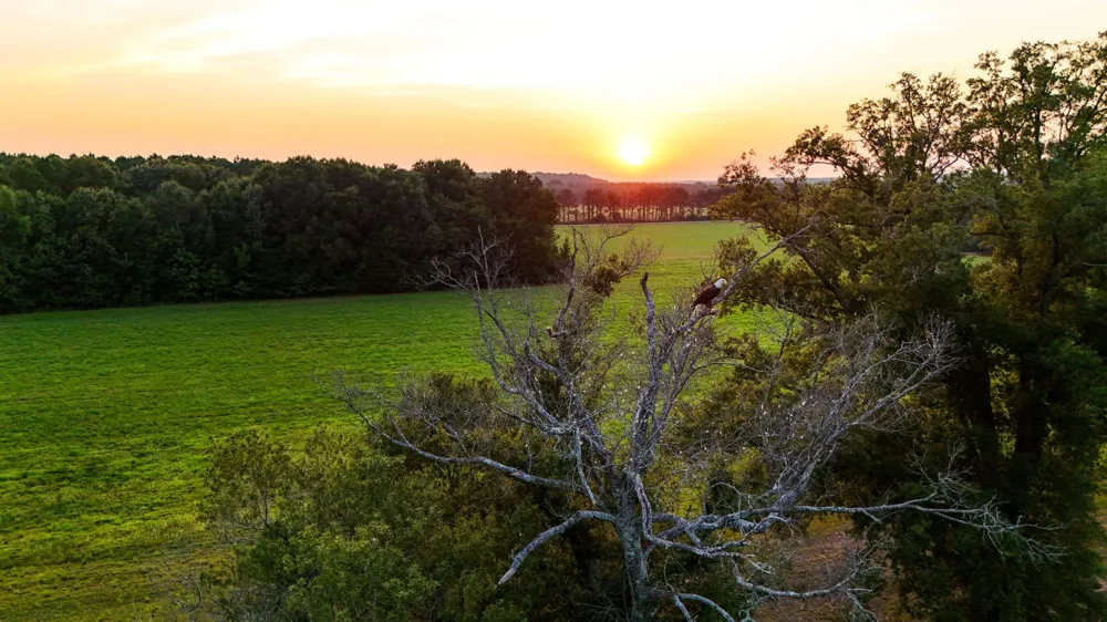 0 Leath Rd Counce, TN 38326