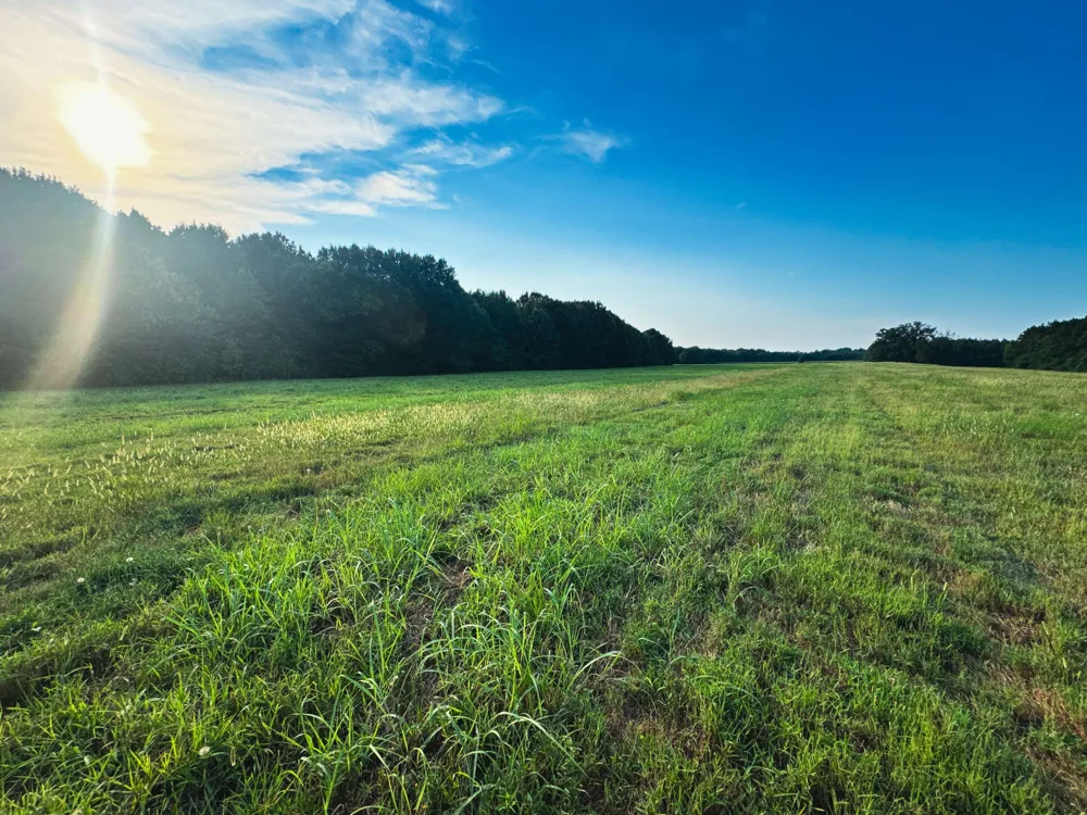 0 Leath Rd Counce, TN 38326