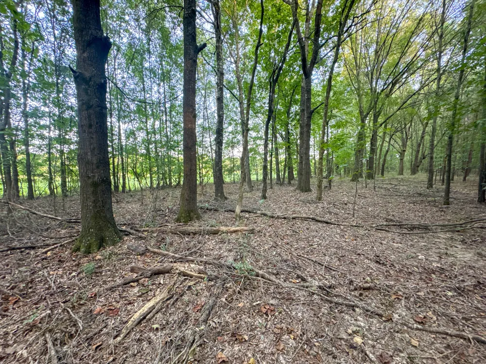 0 Leath Rd Counce, TN 38326