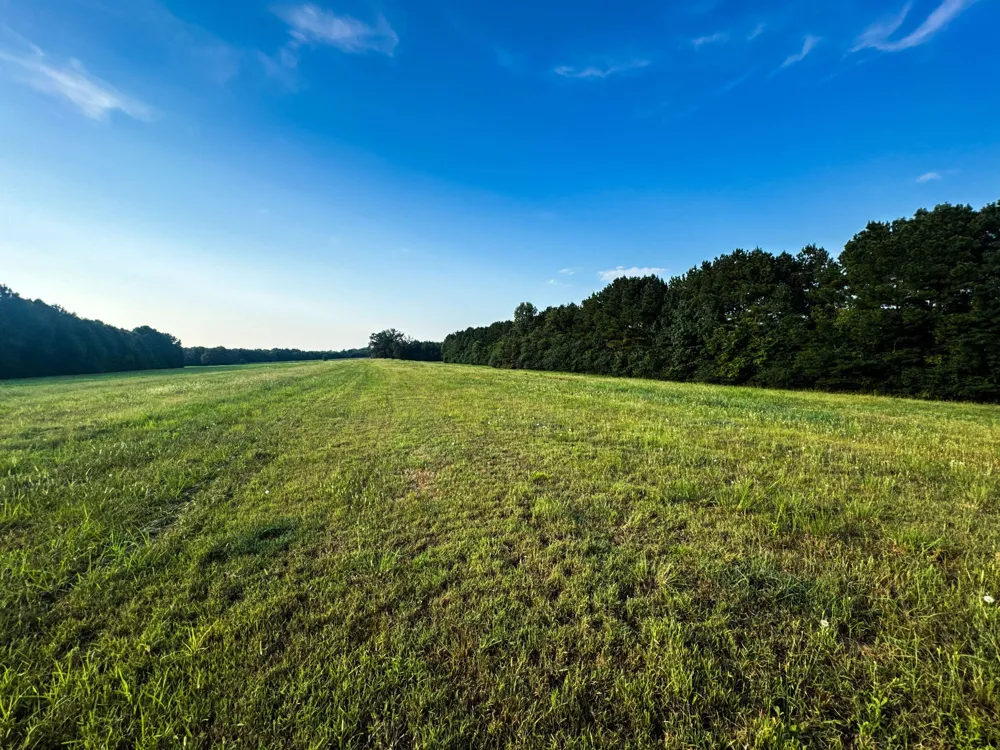 0 Leath Rd Counce, TN 38326
