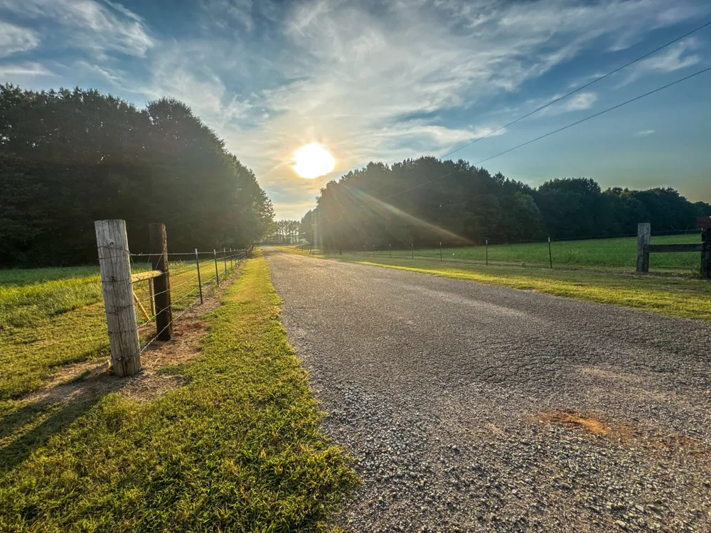 0 Leath Rd Counce, TN 38326