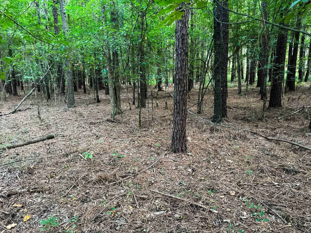0 Leath Rd Counce, TN 38326