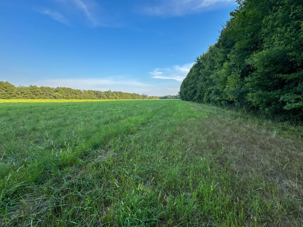 0 Leath Rd Counce, TN 38326