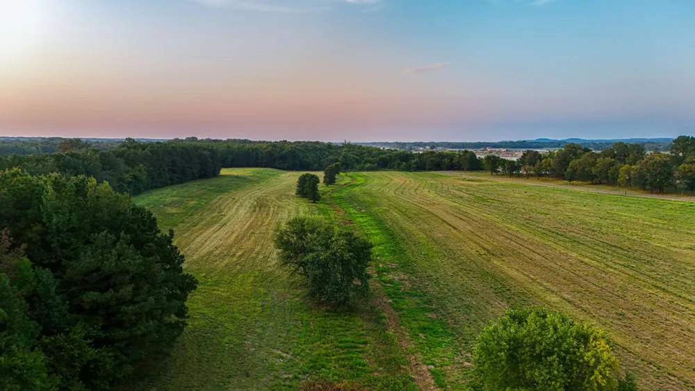 0 Leath Rd Counce, TN 38326