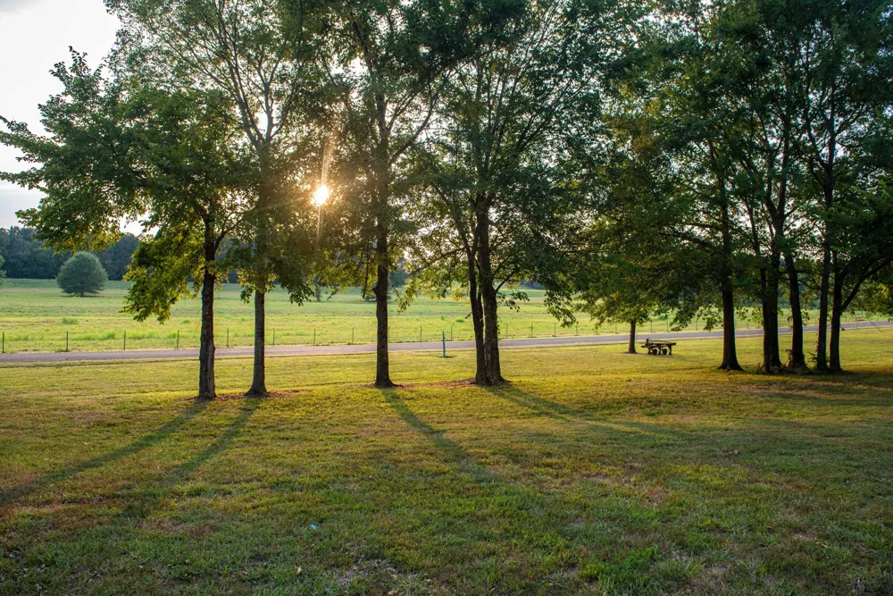0 Leath Rd Counce, TN 38326