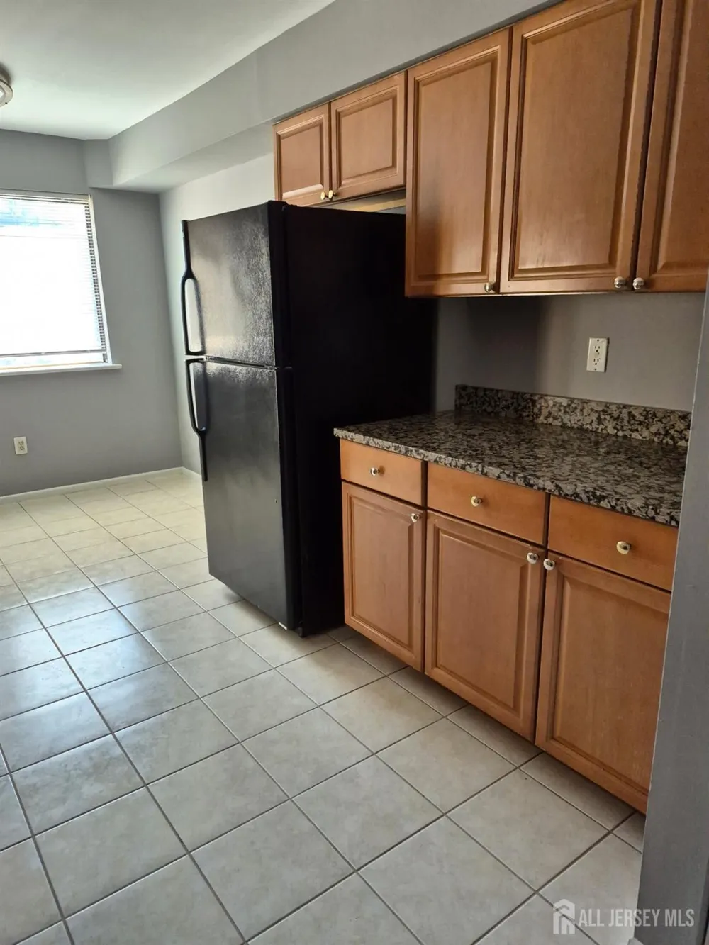 915 Edison Glen Terrace Edison, NJ 08837