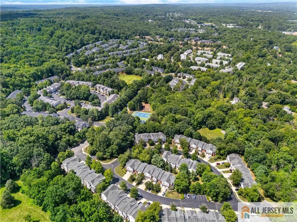 28 Garfield Way Montgomery, NJ 08540
