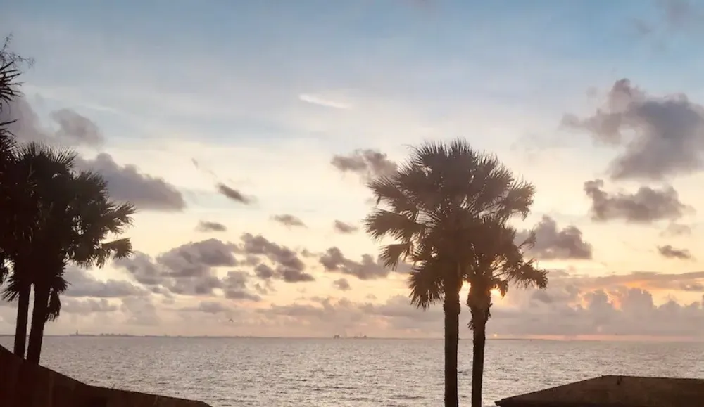 3402 Ocean Drive #37 Corpus Christi, TX 78411
