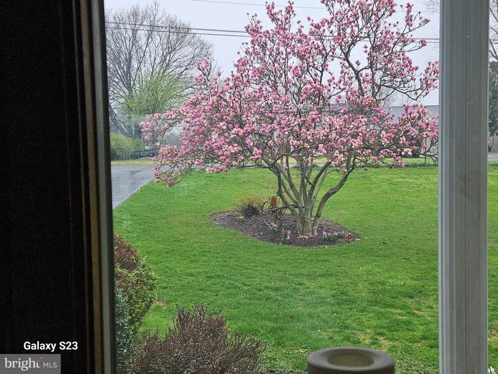 15 DONALD STREET Shermans Dale, PA 17090
