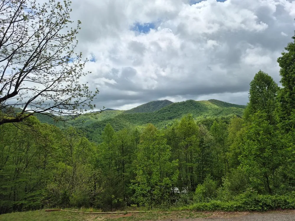 Timbuktu Rd Sylva, NC 28779