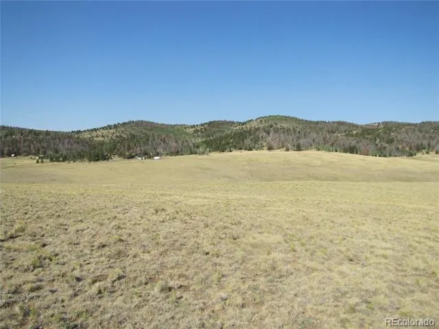 1027 Bolster Drive Hartsel, CO 80449