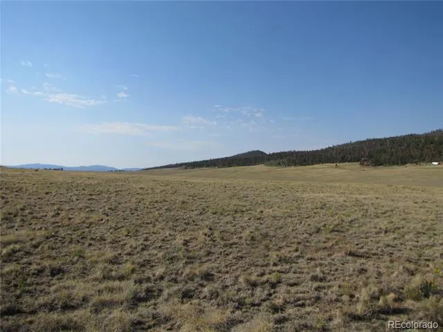 1027 Bolster Drive Hartsel, CO 80449