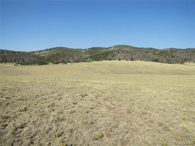 1027 Bolster Drive Hartsel, CO 80449