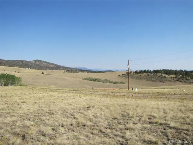 1027 Bolster Drive Hartsel, CO 80449