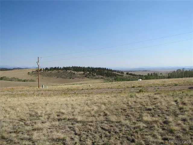 1027 Bolster Drive Hartsel, CO 80449