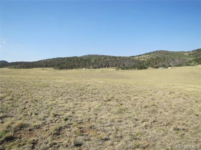 1027 Bolster Drive Hartsel, CO 80449