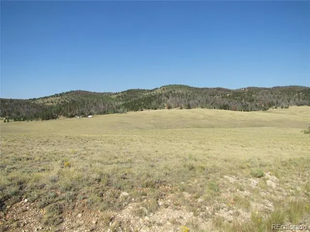 1027 Bolster Drive Hartsel, CO 80449