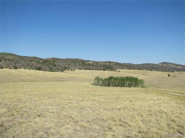 1027 Bolster Drive Hartsel, CO 80449