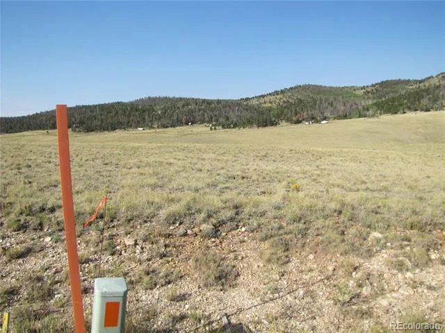 1027 Bolster Drive Hartsel, CO 80449