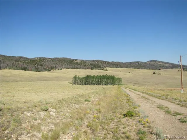 1027 Bolster Drive Hartsel, CO 80449