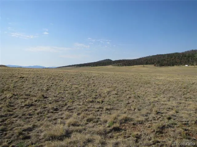 1027 Bolster Drive Hartsel, CO 80449