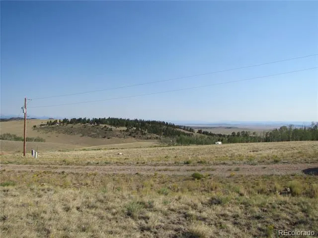 1027 Bolster Drive Hartsel, CO 80449