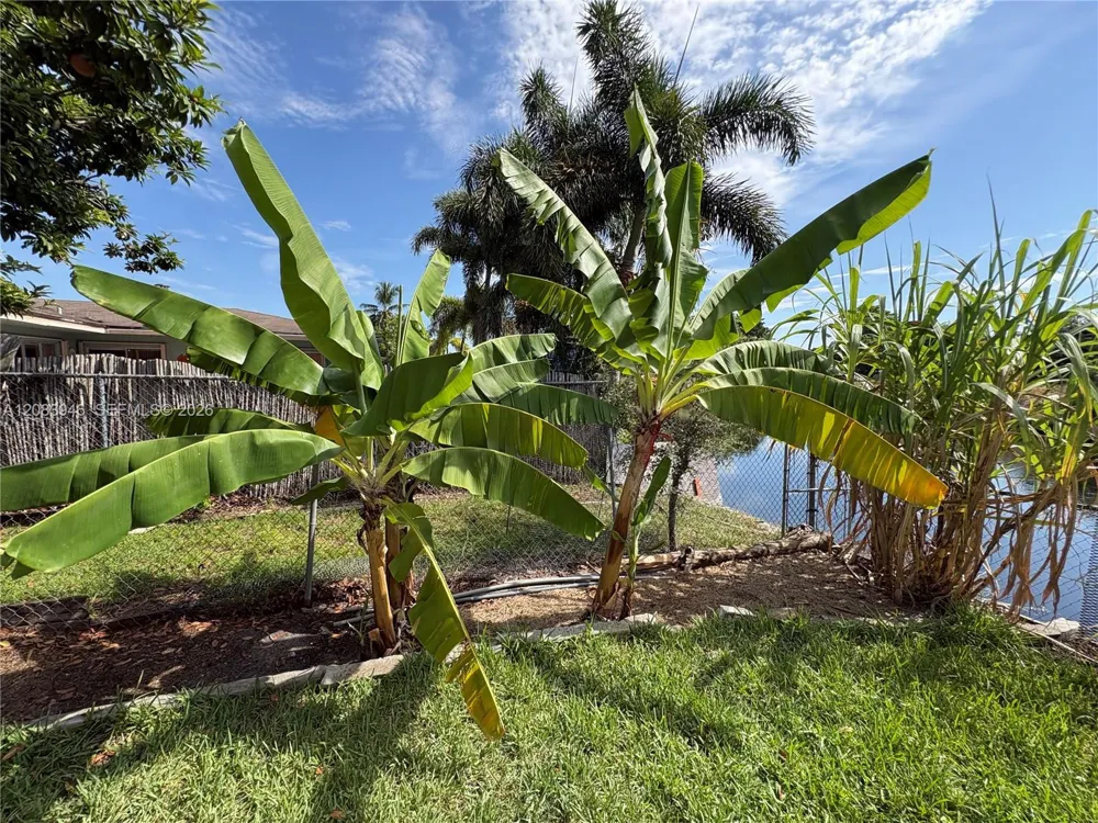 8250 NW 66th Ter Tamarac, FL 33321