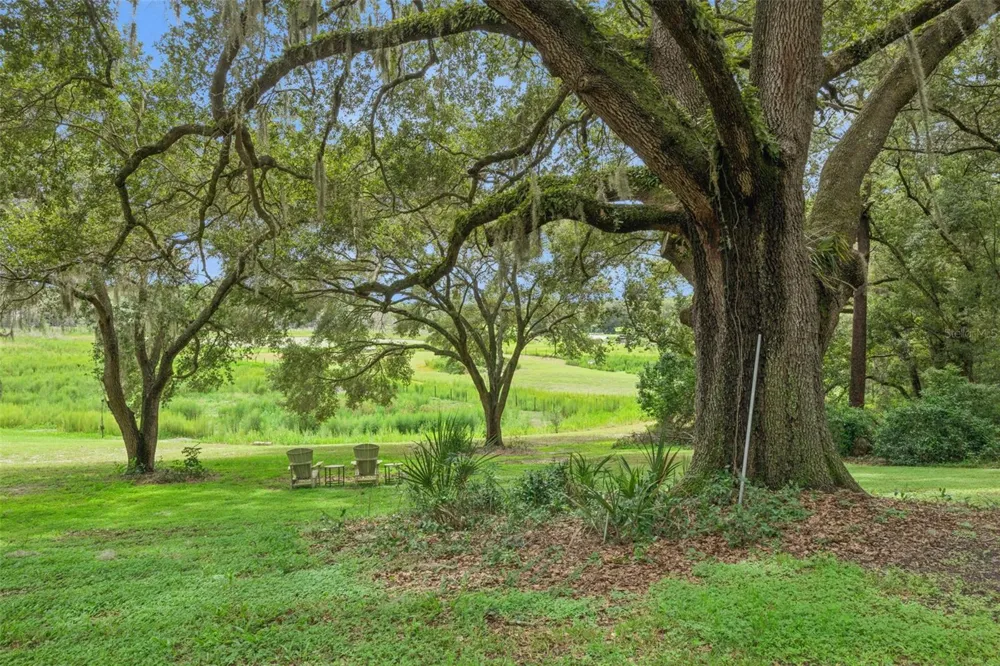 1476 SPRING LAKE ROAD Fruitland Park, FL 34731